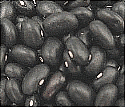 Black Beans Black Beans