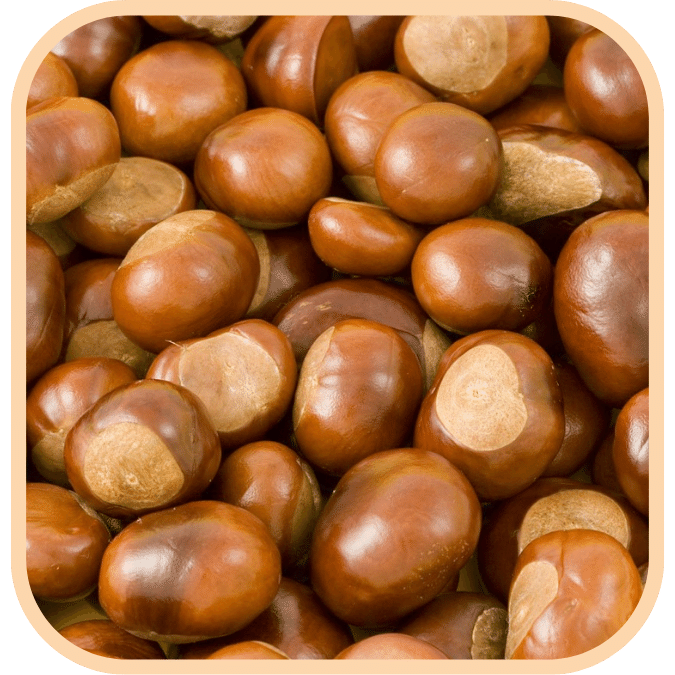 Chestnuts - Raw Dried