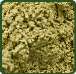 (image for) Hemp Protein Powder