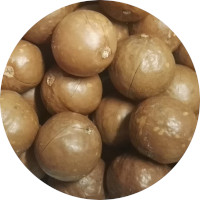 Macadamias - In Shell