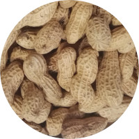 Peanuts - Roasted In Shell
