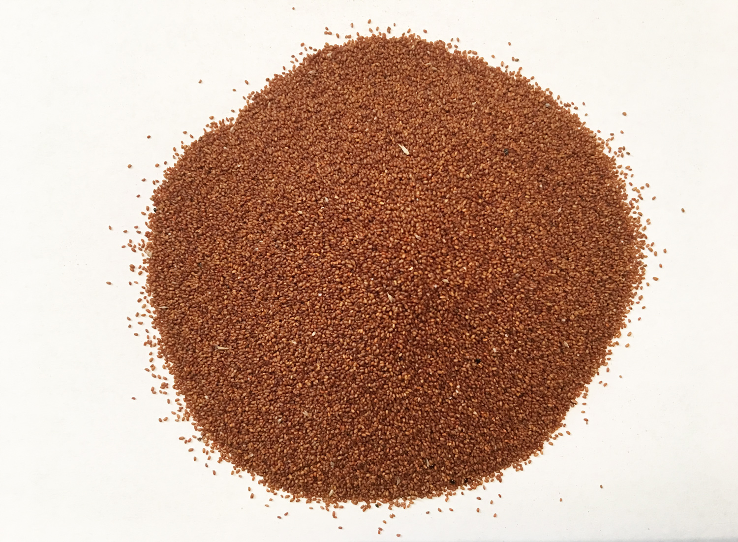 Teff : 2 Brothers foods Online, Wholefoods, Health foods, Asian foods
